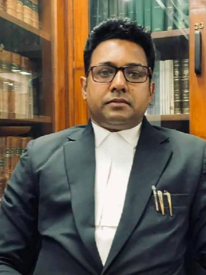 Profile image of RAKEESH N P