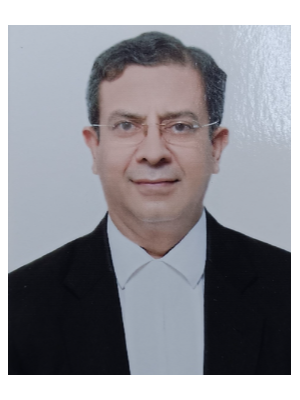 Profile image of Arun Aggarwal