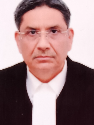 Profile image of Javed Mahmud Rao 