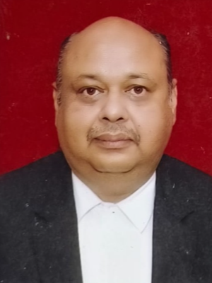 Profile image of RAJAT SRIVASTAV
